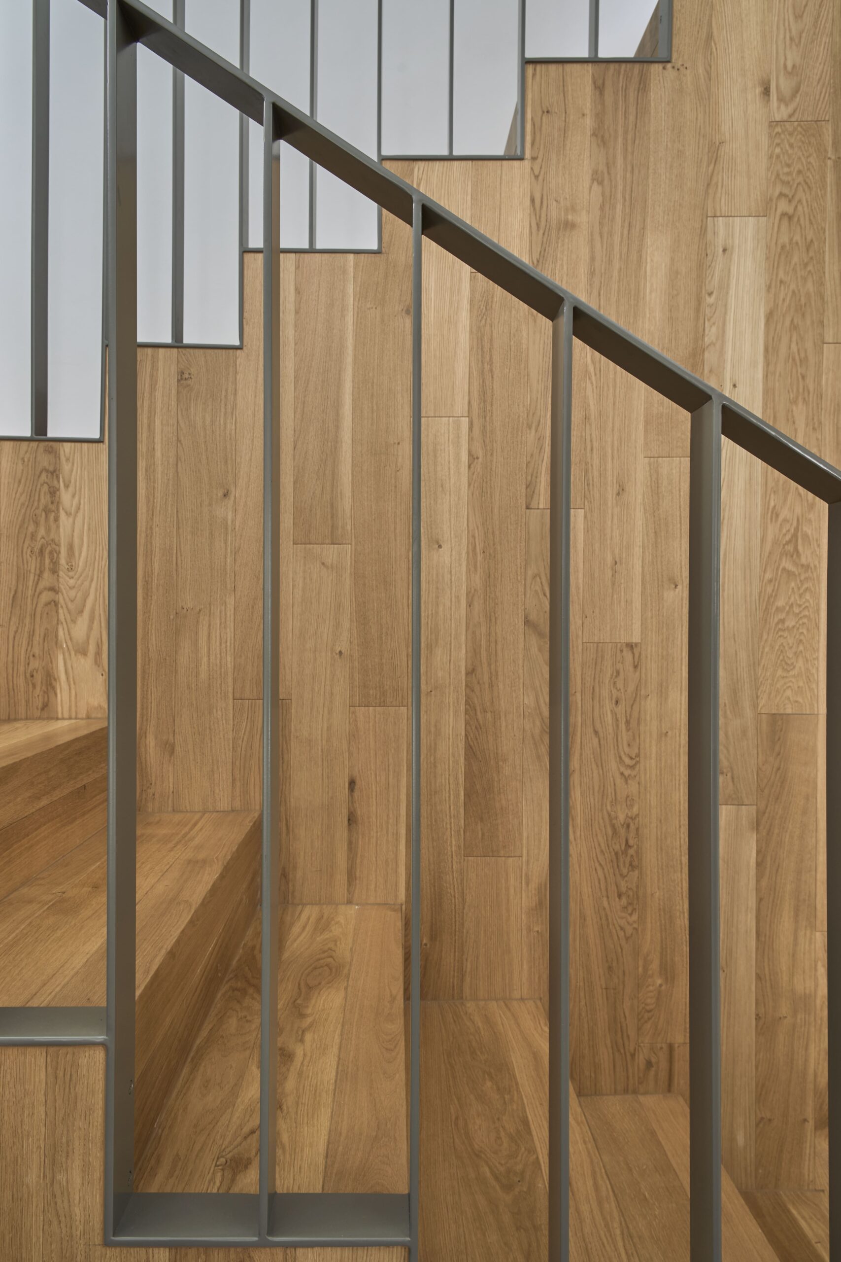 250624_REM CEDRO LAS ROZAS © Javier Bravo 102-min