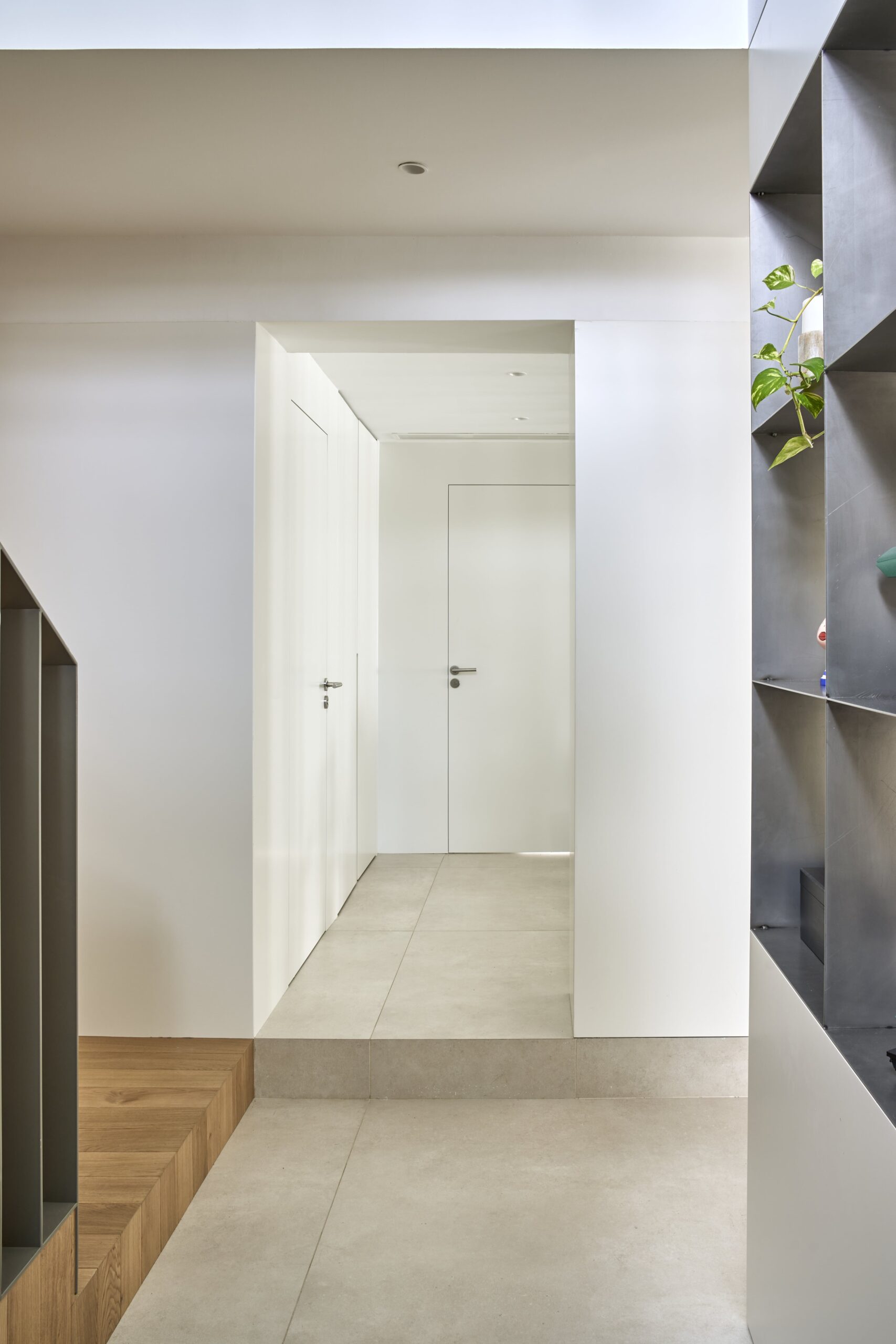 250624_REM CEDRO LAS ROZAS © Javier Bravo 94-min