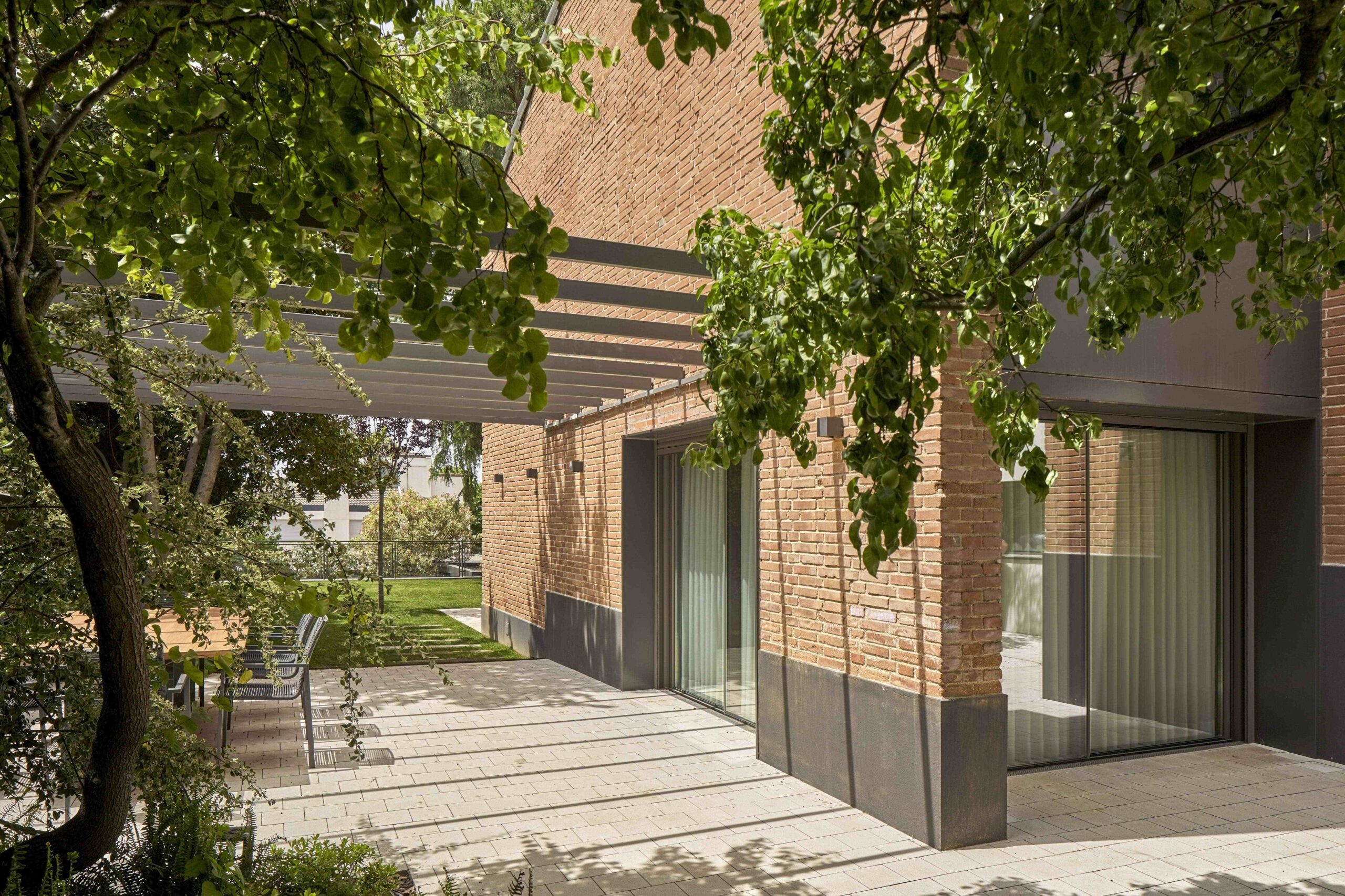 250624_REM CEDRO LAS ROZAS © Javier Bravo 193